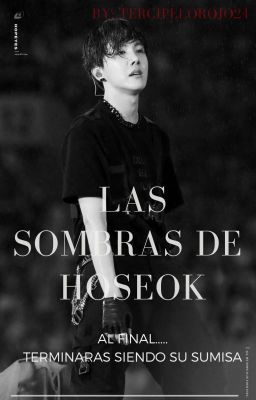 ~Las Sombras De Hoseok ~ • +18 •