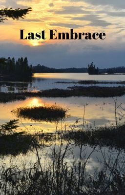 Last Embrace