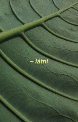 látni // DOUBLE B