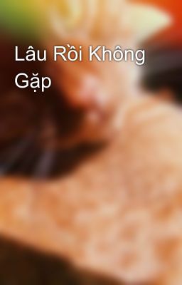 Lâu Rồi Không Gặp