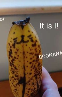 Le Adventures of Boonana Cat