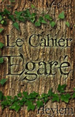 Le Cahier Égaré