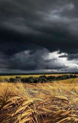 Le champ des orages | Changlix