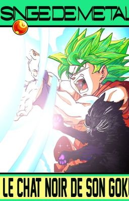 Le chat noir de Songoku