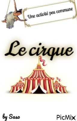 Le cirque - Une activité peu commune