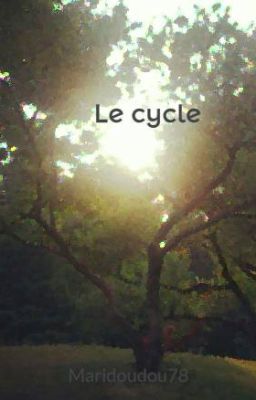 Le cycle