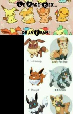 Le Fake-Dex de la Team !