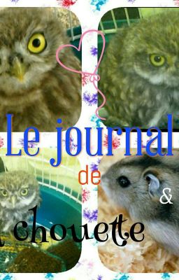 Le journal de ma chouette Choubaka - TERMINE