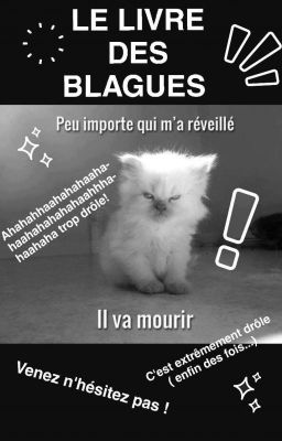 Le Livre Des Blagues De Merde 