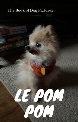 Le Pom Pom