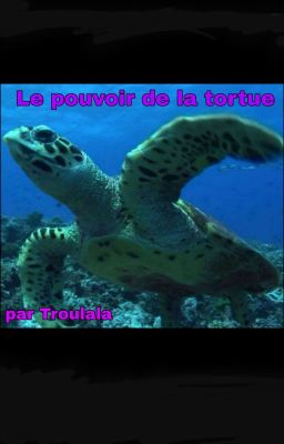 Le pouvoir de la tortue