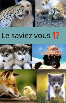 Le saviez vous ⁉️