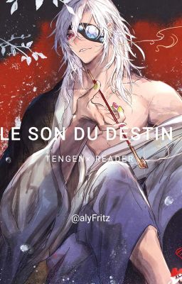 ~Le Son Du Destin ~ TENGEN×READER