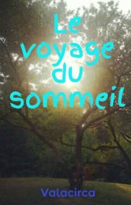 Le voyage du sommeil