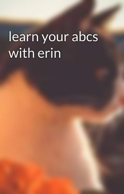 learn your abcs with erin