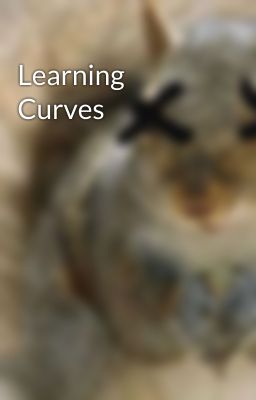 Learning Curves