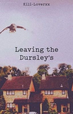 Leaving the Dursleys (Drarry)