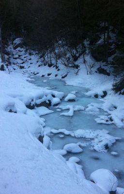 Légende d'hiver - TERMINE