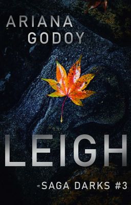 Leigh (Darks #3)