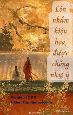 Lên nhầm kiệu hoa được chồng như ý 