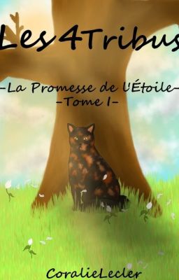 Les 4 Tribus - Tome I - La Promesse de l'étoile - Fiction La Guerre des Clans