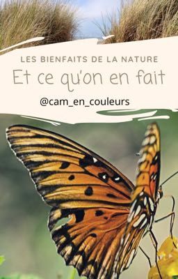 Les bienfaits de la nature, et ce qu'on en fait !