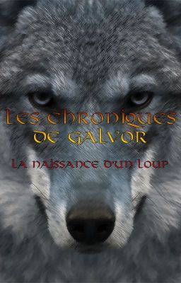 Les Chroniques de Galvor