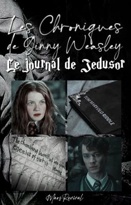 Les Chroniques de Ginny Weasley - Tome 1 : Le journal de Jedusor