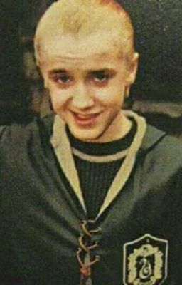 Les fans de Tom Felton 👑 💚🐍