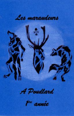 Les maraudeurs à Poudlard, 1ère année [Terminée]