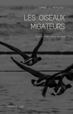 Les oiseaux migrateurs - [7 shots - BTS]