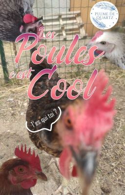 Les Poules c'est Cool !