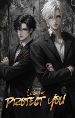 Let Me Protect You 