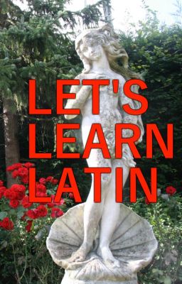 Let's Learn Latin!: A simple guide