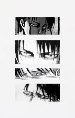 [Levi Ackerman x reader] | Bầu trời cùng tự do