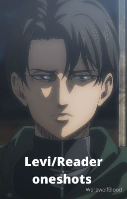 Levi/reader oneshots