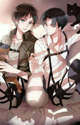 [Levi x Eren]  Mini doujinshi