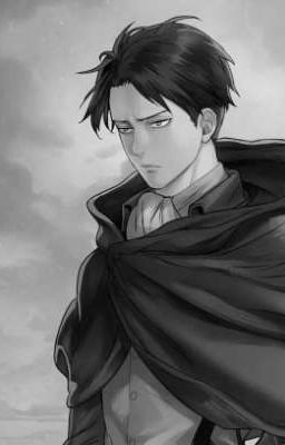 Levi x Male!Reader