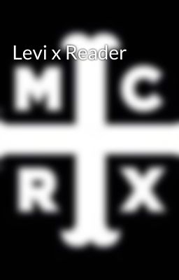 Levi x Reader