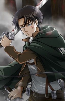 Levi x Reader Lemon 