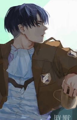 Levi x reader one shots