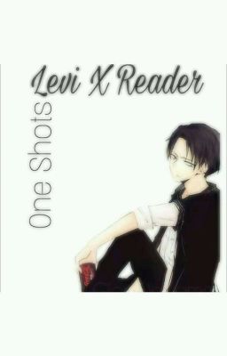 Levi x Reader { OneShots }