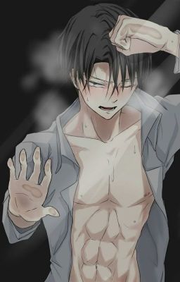 Levi x Reader  |Shingeki no Kyojin|