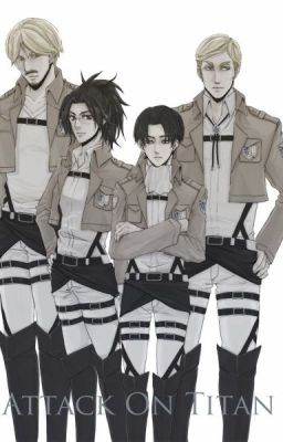 Levi x reader x Erwin x Mike