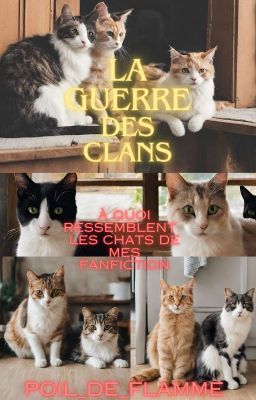 ☆LGDC À quoi ressemble les chats de mes fanfiction ?☆