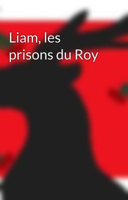 Liam, les prisons du Roy