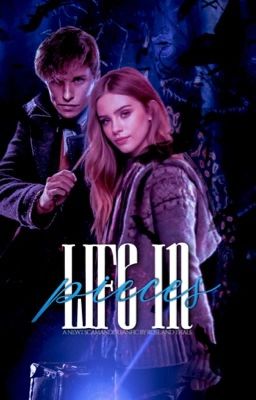 Life in Pieces | Life #1 (Newt Scamander)