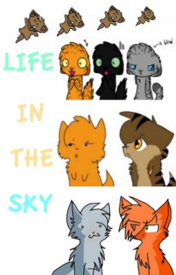 Life In The Sky