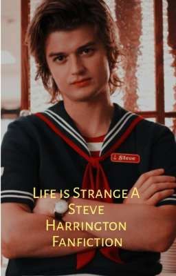 Life ist Strange A Steve Harrington Fanfiction