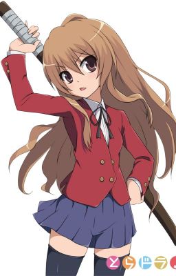 ( Light Novel ): Toradora !